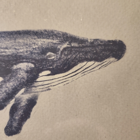Wood framed blue ink print gray whale - Picture 2 of 3